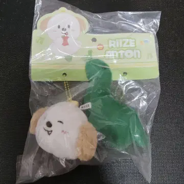RIIZE 앤톤 중국 한정판