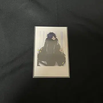 CrazyRaccoon VanilLa 생일 폴라로이드