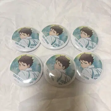 하이큐 캔뱃지 컬렉션 횡단막 오이카와 토오루