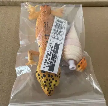생물대도감 어드밴스 레오파드게코 탠저린