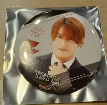 EBiDANmuseum TETTA 캔뱃지