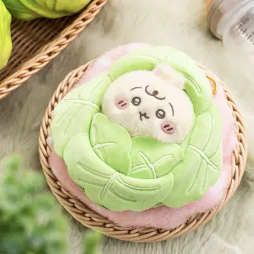 치이카와 Chiikawa Baby 양배추에 싸인 토끼 마스코트