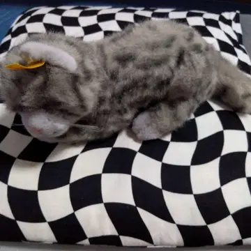 슈타이프 고양이 봉제 인형 steiff 발바닥