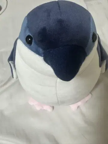 AOAO SAPPORO 해피 펭귄 복권 2등 봉제 인형 펭귄 중