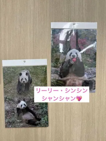 [대 팬더전 한정판] 리리 신신 샹샹 클리어 파일
