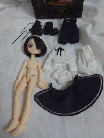 아존 리루페어리 윌 결품 있음