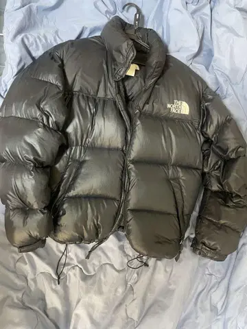 THE NORTH FACE 눕시 다운 자켓