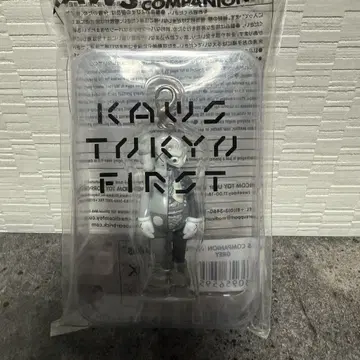 KAWS Flayed Companion 키링