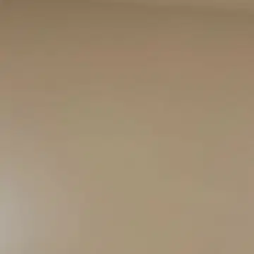 VASIC 본드 BOND MINIMINI 핸드백