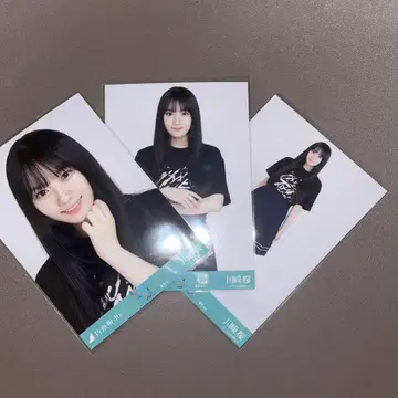 노기자카 생사진 카와사키 사쿠라 라이브t셔츠 도쿄 컴프