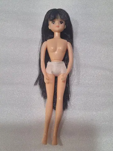 리카짱 캐슬 미호짱