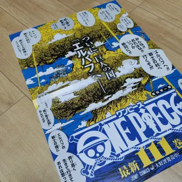 원피스 ONEPIECE 111권 B3 포스터