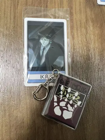 USJ 헌터헌터 콜렉터블 키체인 키링 클로로