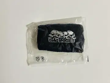 ELLEGARDEN 리스트 밴드