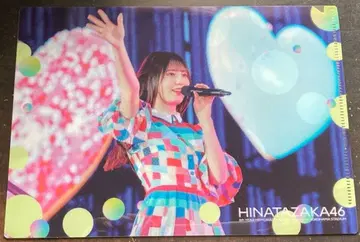 6번째 히나탄 축제 외부 특전 A5 사이즈 클리어 파일 히나타자카46