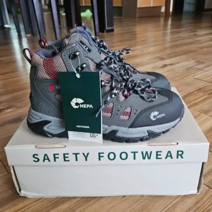 エパミノンダス（1オス・アンダマン島） エパミノンダス（1オス、アンダマン島） エパミノンダス（1オス