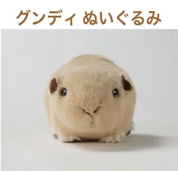 군디 봉제 인형
