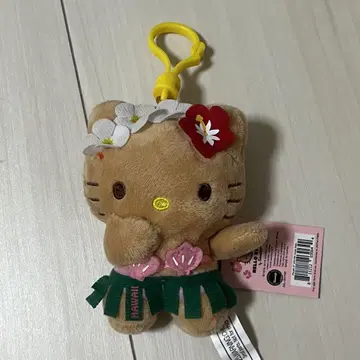 일광화상 키티 하와이