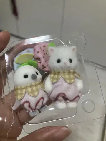 반짝반짝 복권 시마연가 페르시안 고양이