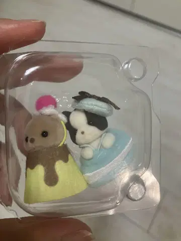 반짝반짝 복권 프렌치 불독 랏코