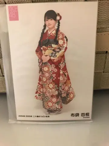 AKB48 브로마이드 스무살의 모임 성인 미개봉 5종 호테이 모모카