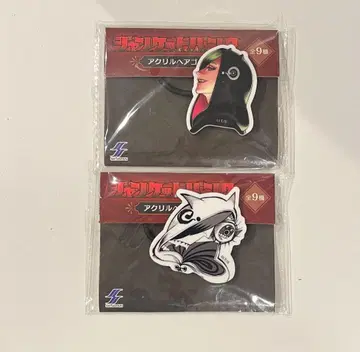 쟝켓 은행 아크릴 머리끈 카나에 레이메이 2종 세트