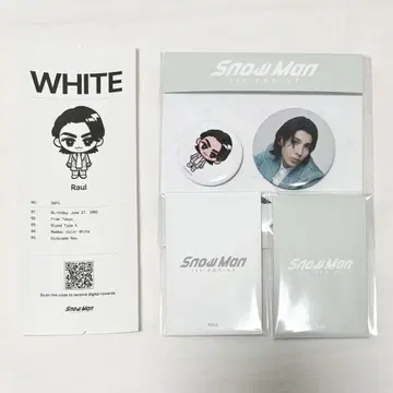 라울 포토 카드 AB 캔뱃지 궁합 진단서 4개 세트 Snow Man