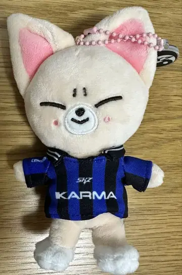 straykids 스트레이키즈 skzoo karma 폭시니