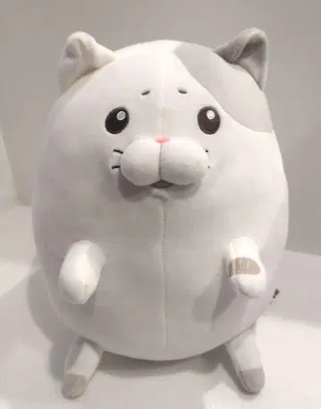 울보 고양이 키이짱 마슈못치 봉제 인형 모후칸 폰짱 고양이 BIG