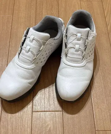 골프화 풋조이 여성용 24cm