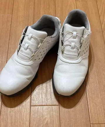 골프화 풋조이 여성용 24cm