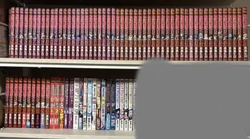 FAIRYTAIL 전 63권 세트 덤 포함