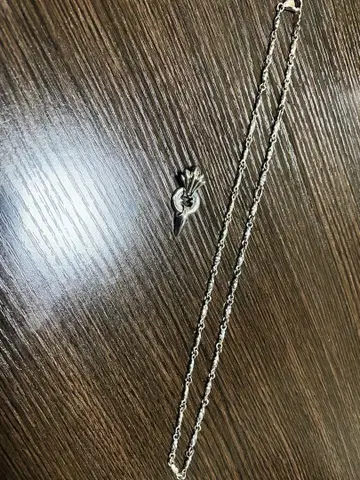 라이온 하트 HOWL 팽드 목걸이
