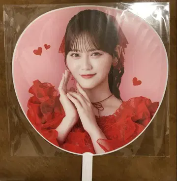 이코럽 타카마츠 히토미 특별히, 부채 투어