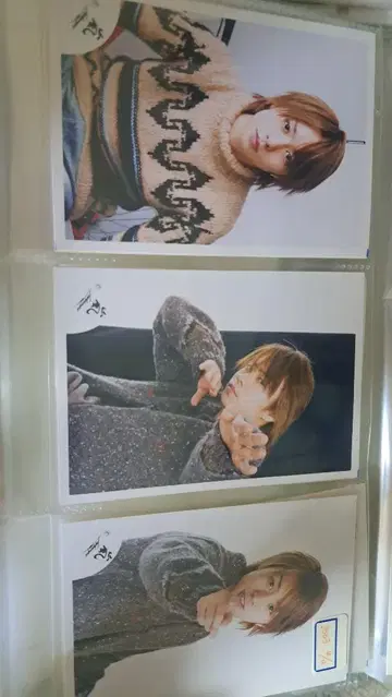 사쿠라이 쇼 공식 사진