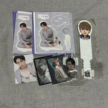 후지와라 이츠키 아크릴 스탠드 트레이딩 카드 세트