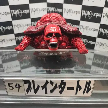 54 브레인 터틀