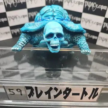 59 브레인 터틀