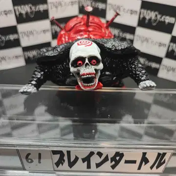 61 브레인 터틀