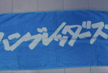 함브레타즈 타월 파랑