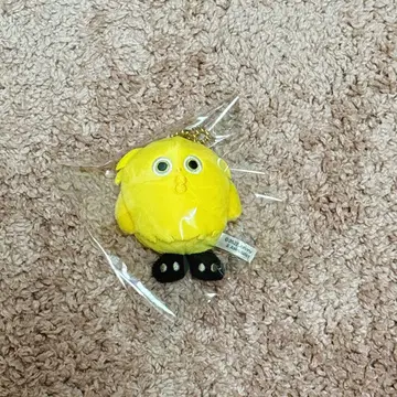 타마모리 유타 스크리머즈