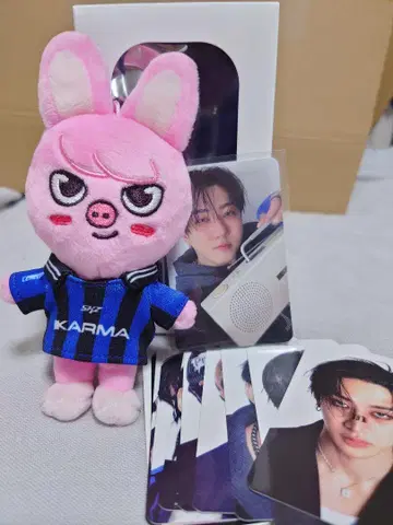 StrayKids KARMA SKZOOver.