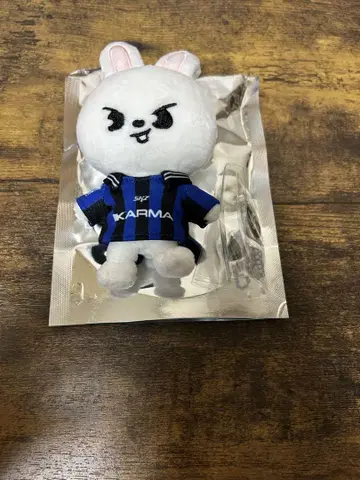 straykids 리노 KARMA SKZOO