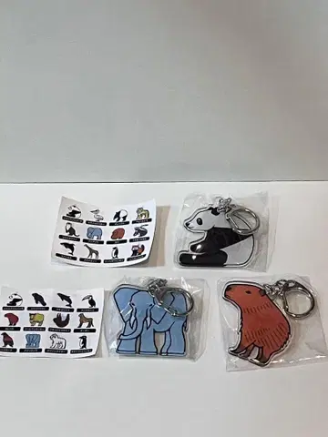 어드벤처 월드 한정판 키링 팝업 팬더 코끼리 카피바라