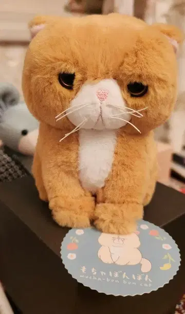 오렌지 컬러 고양이 봉제 인형