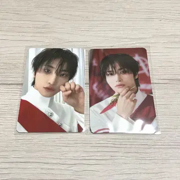 성화 트레이딩 카드
