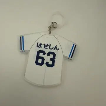 사이타마 세이부 라이온즈 아크릴 표식 참 별명 하세가와 신야