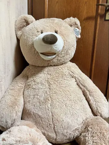 코스트코 곰 PLUSHTEDDYBEAR 베이지