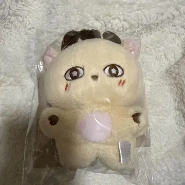 박지훈 생일 카페 봉제 인형 소심이