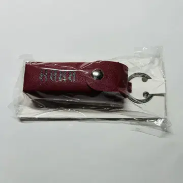 HANA 로고 립 케이스 빨간색 미개봉 새상품